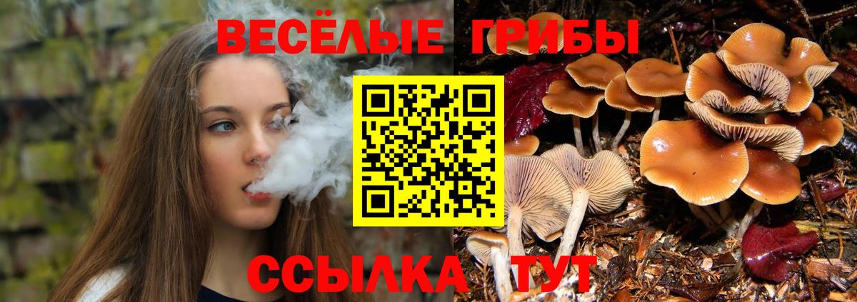 Псилоцибиновые грибы прущие грибы  купить   Первоуральск  Вход с VPN 